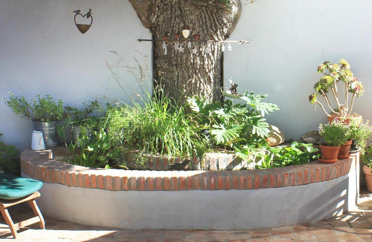 Himmelblau Boutique Bed And Breakfast Cape Town Dış mekan fotoğraf